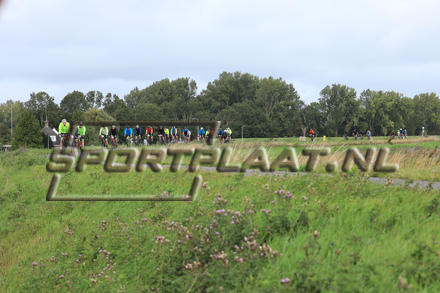 YZ10012.jpg